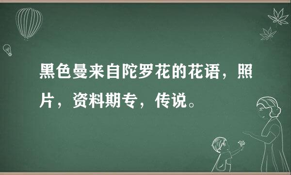 黑色曼来自陀罗花的花语，照片，资料期专，传说。
