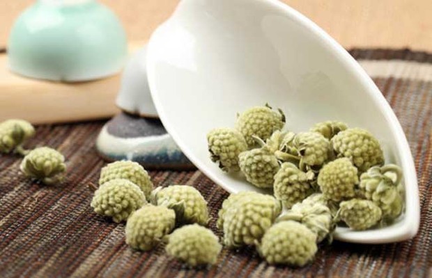 绿萝花切价守更茶的功效与作用