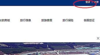 东航官网办理的网上值机手续怎么取消？