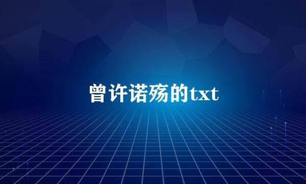 曾许诺殇的txt