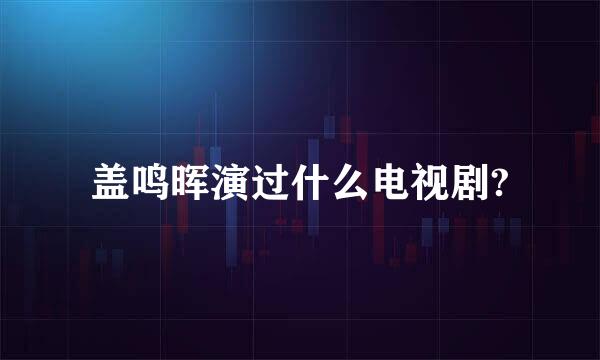 盖鸣晖演过什么电视剧?