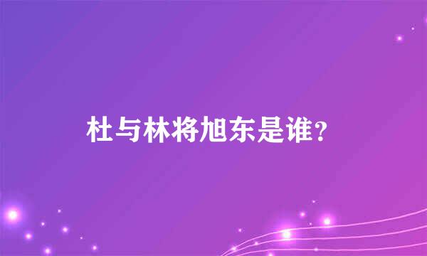 杜与林将旭东是谁？