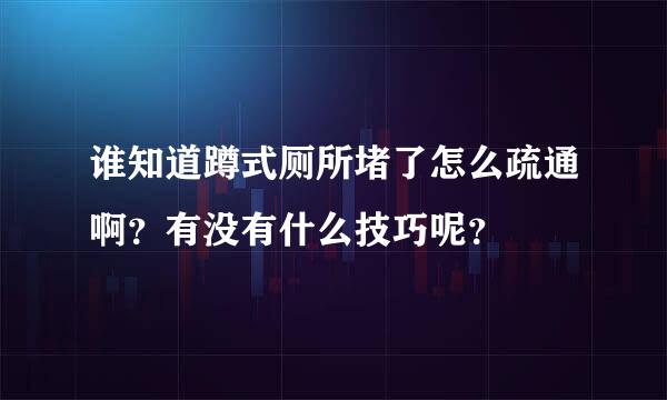 谁知道蹲式厕所堵了怎么疏通啊？有没有什么技巧呢？