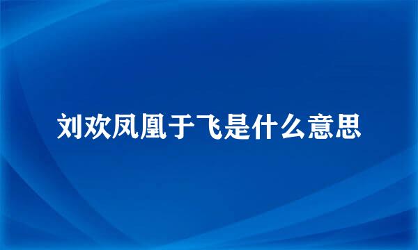 刘欢凤凰于飞是什么意思