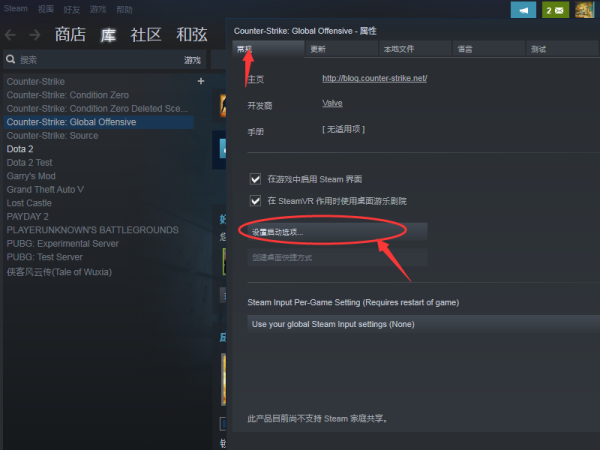 csgo国服游戏进不了