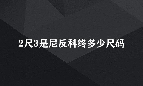 2尺3是尼反科终多少尺码