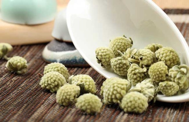 绿萝花切价守更茶的功效与作用