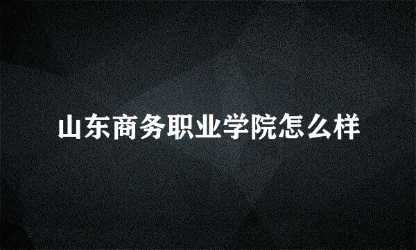 山东商务职业学院怎么样