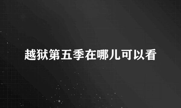 越狱第五季在哪儿可以看