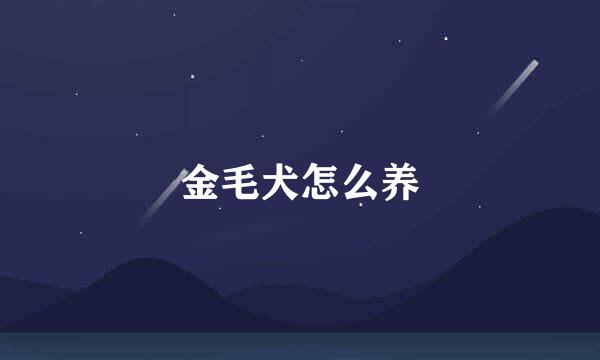 金毛犬怎么养