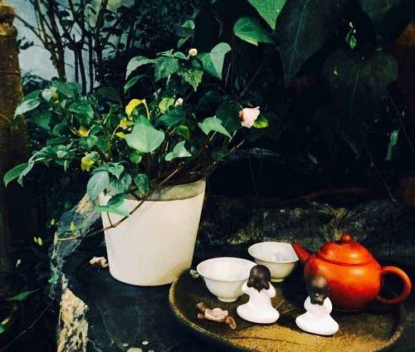 下雨时喝茶的诗句