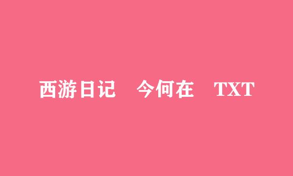 西游日记 今何在 TXT