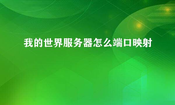 我的世界服务器怎么端口映射