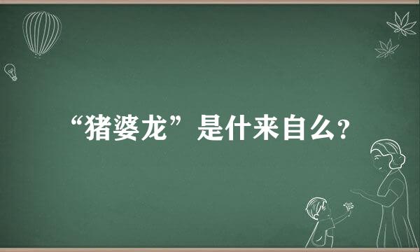 “猪婆龙”是什来自么？