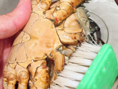 活螃蟹怎么杀步骤图解及清来自洗方法