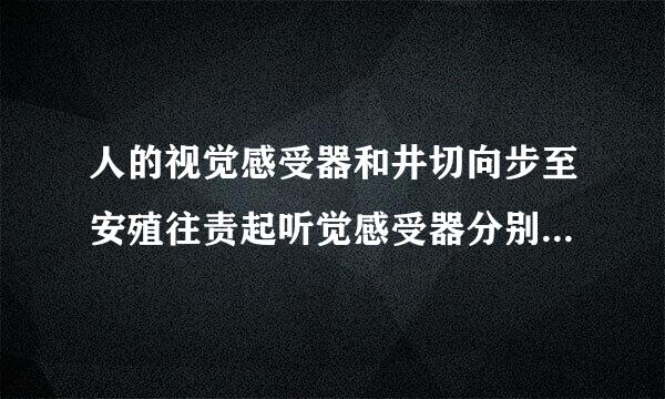 人的视觉感受器和井切向步至安殖往责起听觉感受器分别位于（  ）    A．角膜、鼓膜  B．晶状体、听小骨    C．视网膜、耳蜗