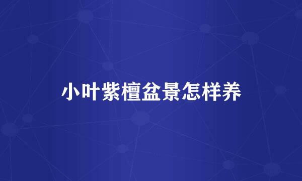 小叶紫檀盆景怎样养