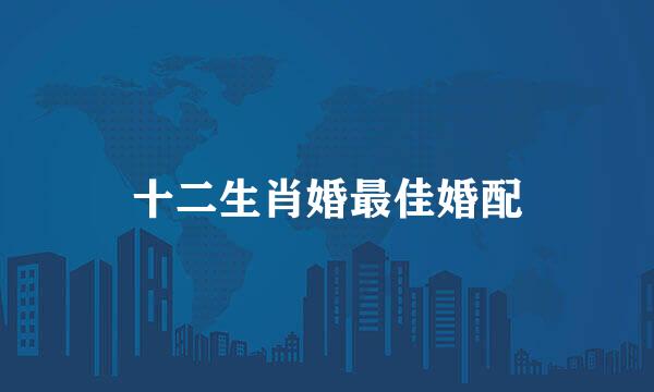 十二生肖婚最佳婚配