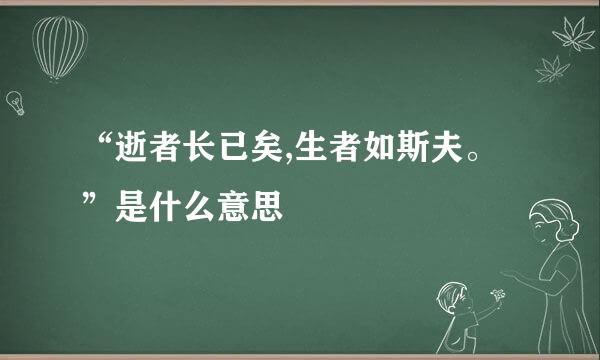 “逝者长已矣,生者如斯夫。”是什么意思