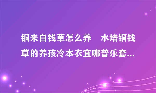 铜来自钱草怎么养 水培铜钱草的养孩冷本衣宜哪普乐套殖方法和注意事项