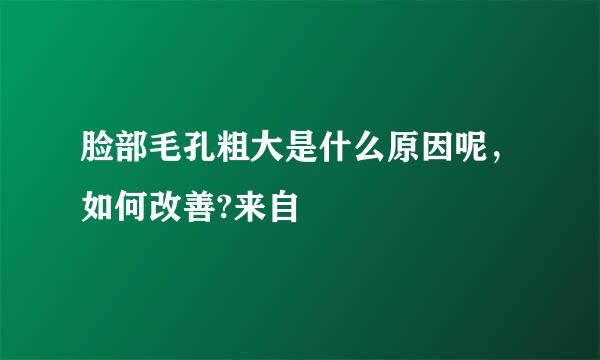 脸部毛孔粗大是什么原因呢，如何改善?来自