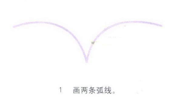 简单的百合花怎么画