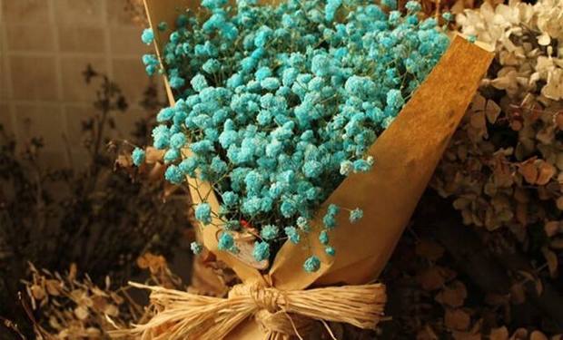 满天星各来自种颜色的花语是什么？