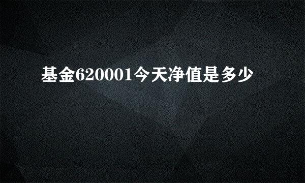 基金620001今天净值是多少