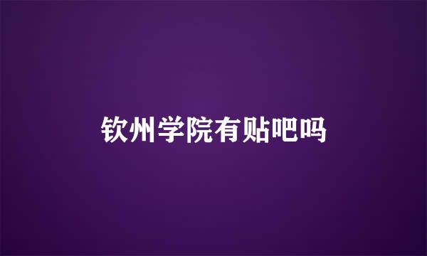 钦州学院有贴吧吗