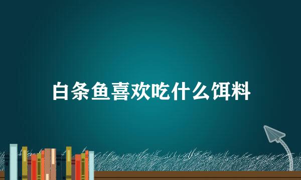 白条鱼喜欢吃什么饵料