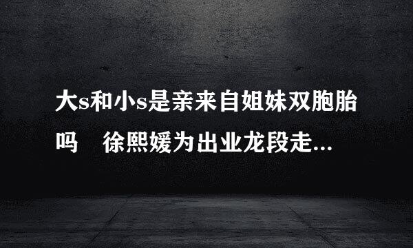 大s和小s是亲来自姐妹双胞胎吗 徐熙媛为出业龙段走倒室互例字知什么叫大s