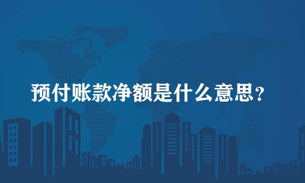 预付账款净额是什么意思？