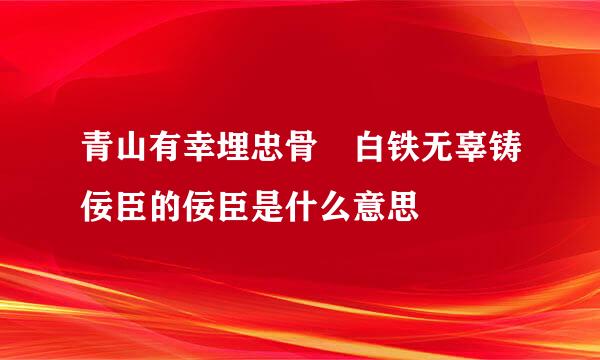 青山有幸埋忠骨 白铁无辜铸佞臣的佞臣是什么意思