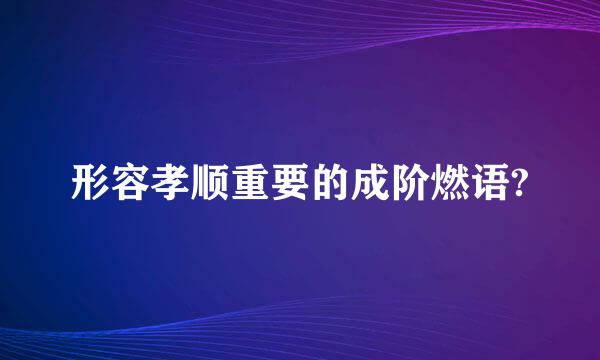 形容孝顺重要的成阶燃语?