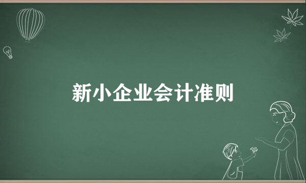 新小企业会计准则