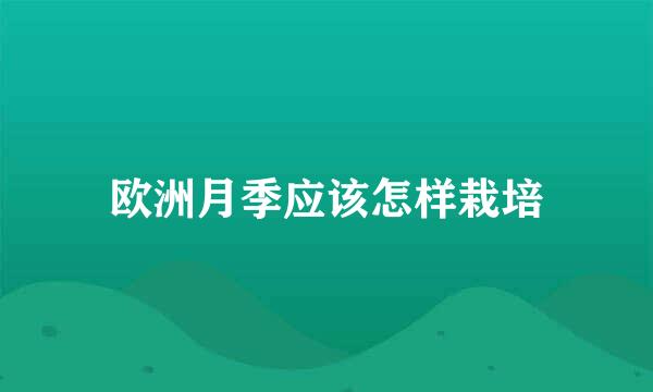 欧洲月季应该怎样栽培