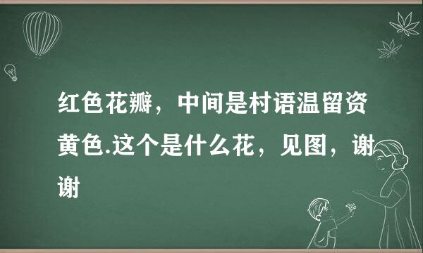 红色花瓣，中间是村语温留资黄色.这个是什么花，见图，谢谢