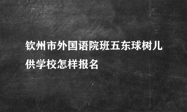 钦州市外国语院班五东球树儿供学校怎样报名
