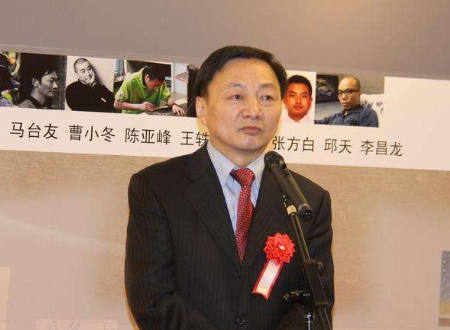 大使馆参赞是什么职务？