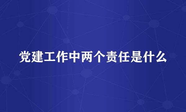 党建工作中两个责任是什么