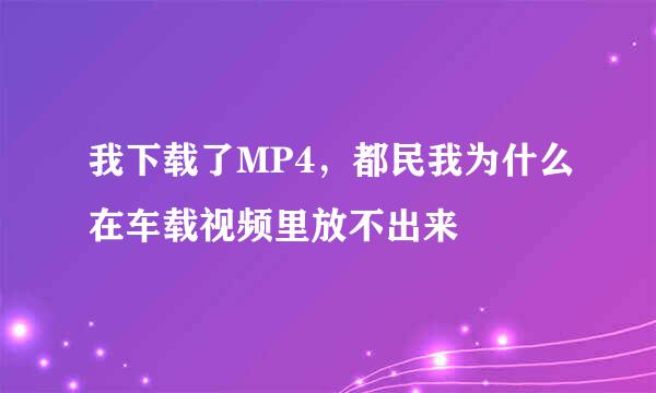 我下载了MP4，都民我为什么在车载视频里放不出来