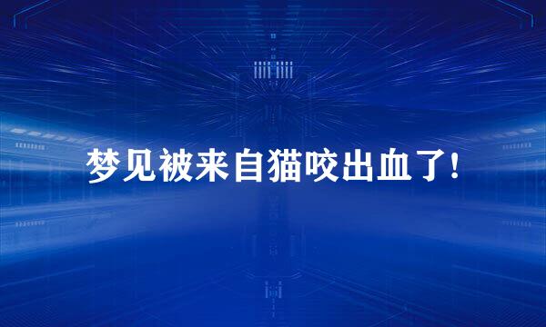 梦见被来自猫咬出血了!