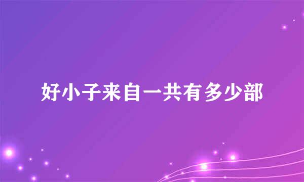 好小子来自一共有多少部