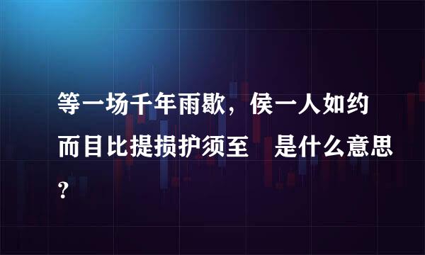 等一场千年雨歇，侯一人如约而目比提损护须至 是什么意思？