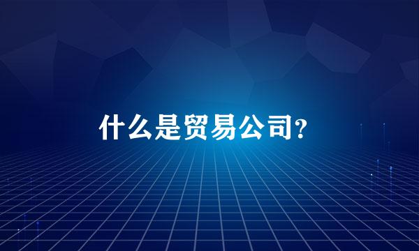 什么是贸易公司？