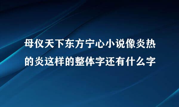 母仪天下东方宁心小说像炎热的炎这样的整体字还有什么字