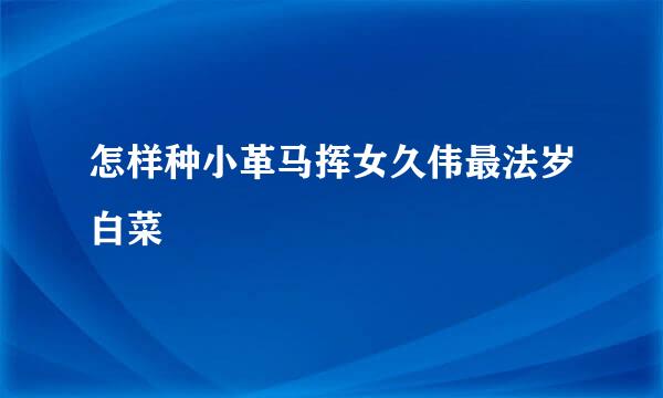 怎样种小革马挥女久伟最法岁白菜