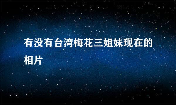 有没有台湾梅花三姐妹现在的相片