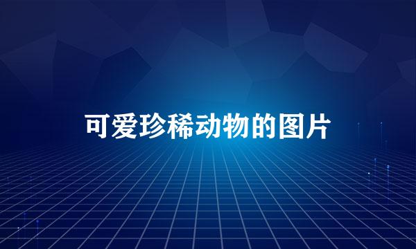 可爱珍稀动物的图片