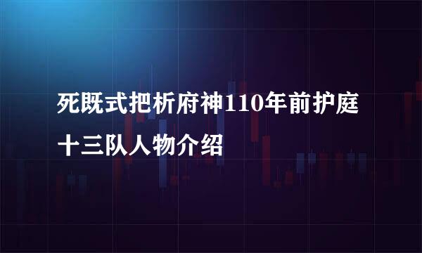 死既式把析府神110年前护庭十三队人物介绍